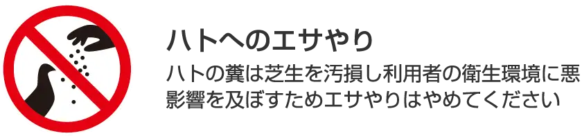 ハトへのエサやり